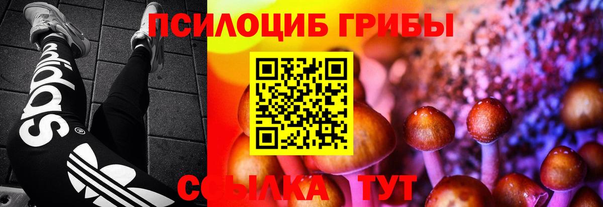 Галлюциногенные грибы Magic Shrooms  Псилоцибиновые грибы MAGIC MUSHROOMS  Самара  Вход с VPN 